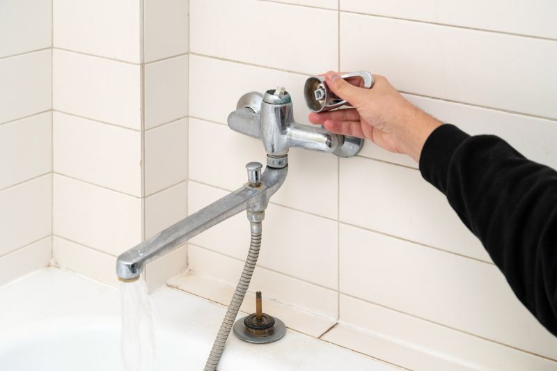 Showerhead Repair in Denver, CO